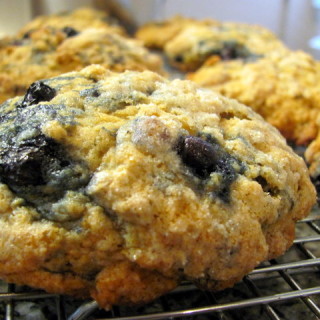 Blueberry Oat Scones