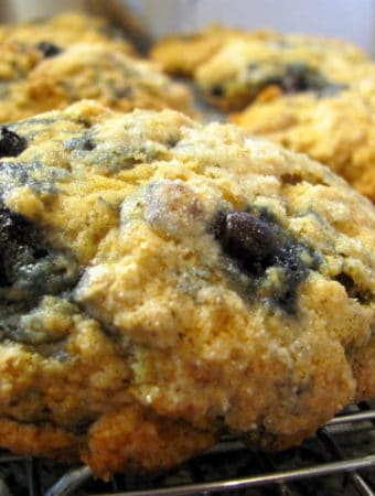 Blueberry Oat Scones