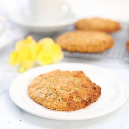 Vanilla Oat Scones Gluten Free Halsa Nutrition