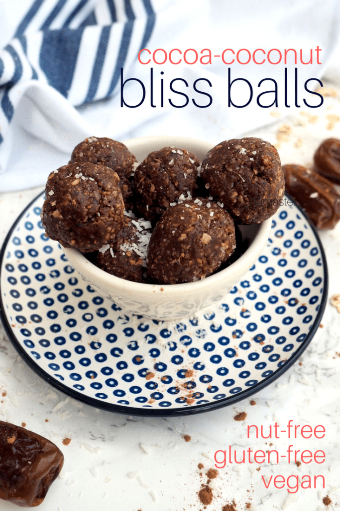 picture of cocoa-coconut bliss balls