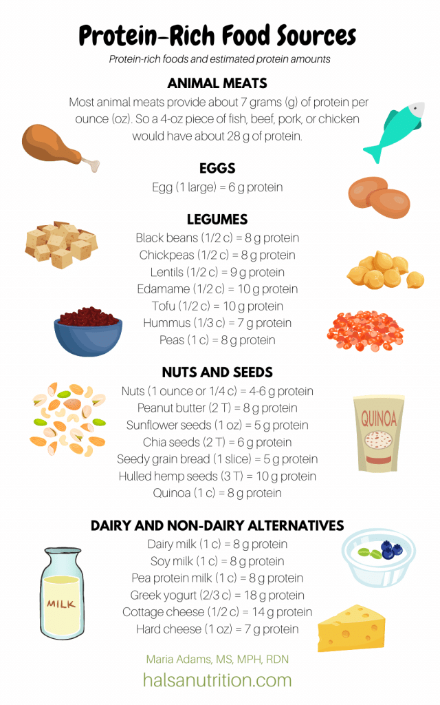 protein amounts in common foods
