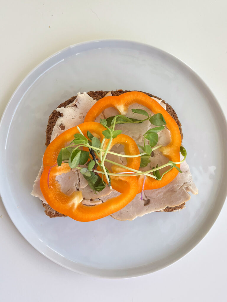 sliced turkey open faced sandwich